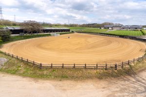 Photo 6- click for photo gallery